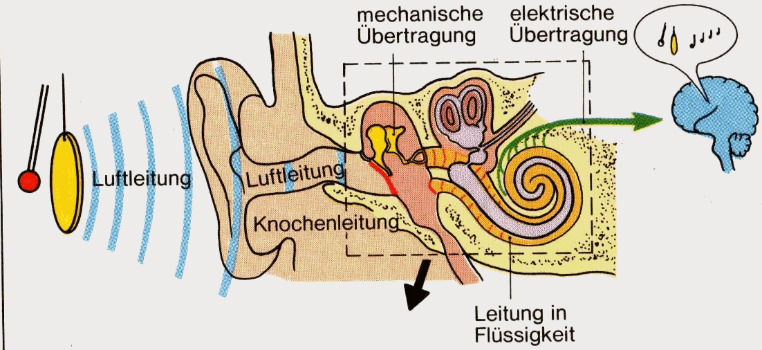 Script zum Seminar Einführung in die